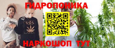 мяу мяу мука Татарск