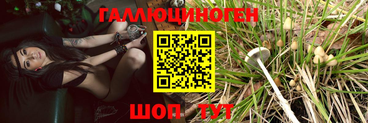 Нижнекамск  цены   Вход с VPN  Галлюциногенные грибы мицелий 